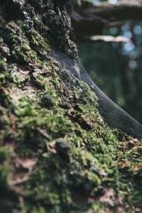 疯狂桌球苹果版下载-第4张图片-太平洋在线下载